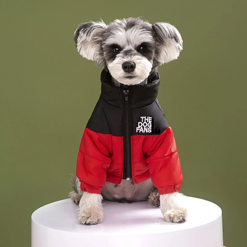 Fashion Pet Coat Clothes, Trendy Embroidered Dog Autumn and Winter Cotton Clothing, Pet Clothing, Thickened Warm Down Clothing - Image 4