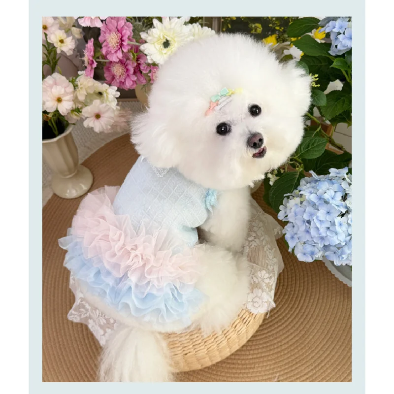 Fashion Chihuahua Pet Dress Gauze Skirt Small Pet Clothing Bichon Pomeranian Dog Fairy Dress Pet Cat Dog Clothes - Image 2