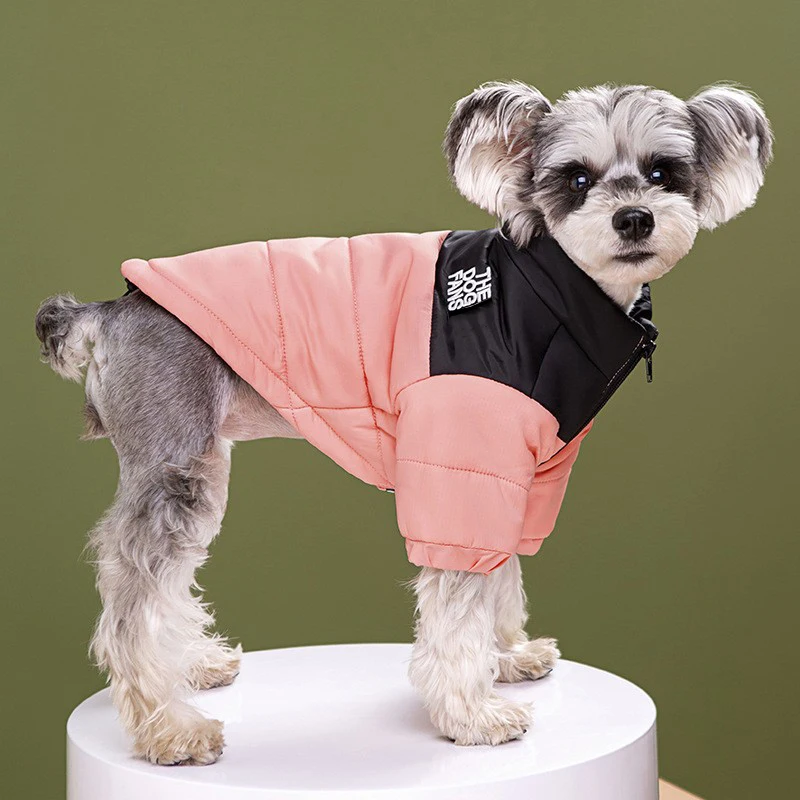 Fashion Pet Coat Clothes, Trendy Embroidered Dog Autumn and Winter Cotton Clothing, Pet Clothing, Thickened Warm Down Clothing - Image 3